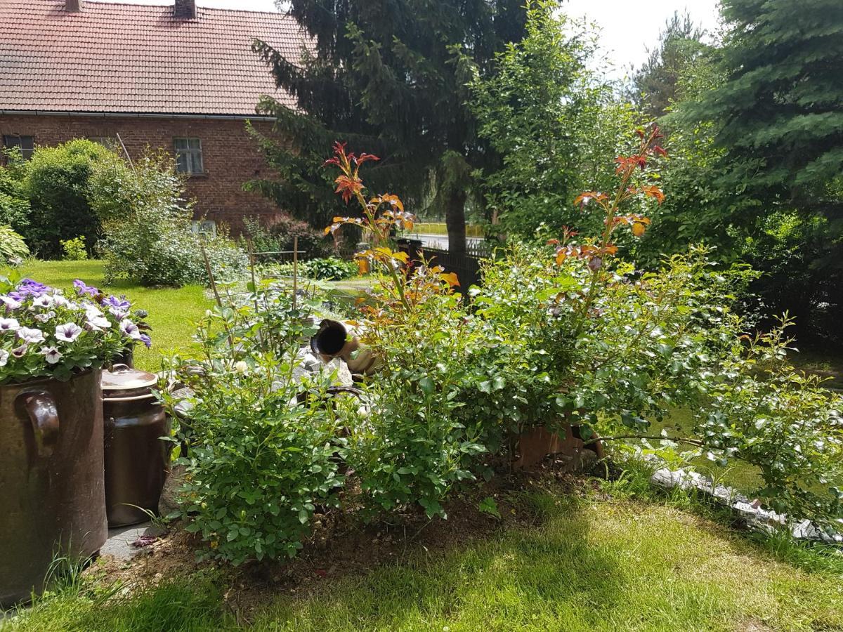 Wczasowisko Karola Daire Lubomierz  Dış mekan fotoğraf